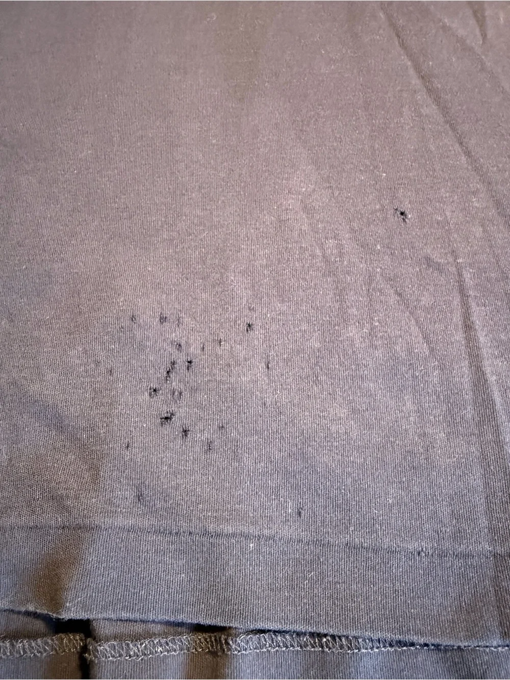 Ralph Lauren authentic polo